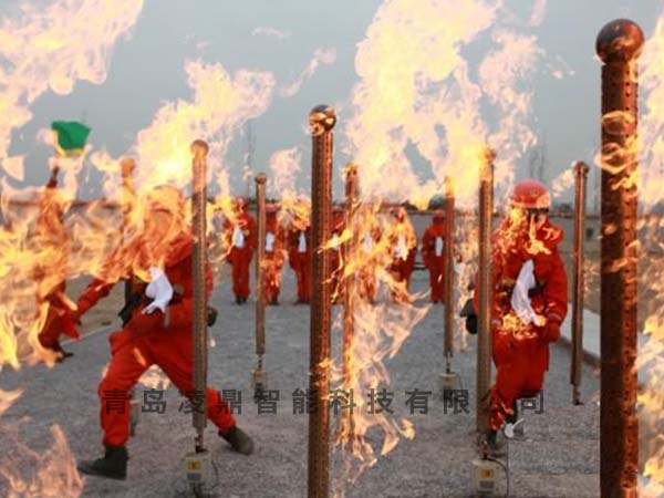 森林消防